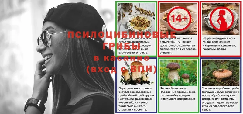 Галлюциногенные грибы Cubensis  как найти закладки  Кашира 